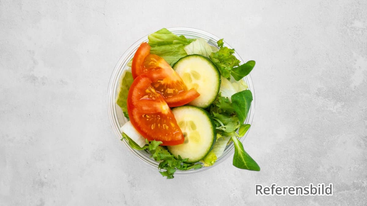 Reggev Sallad Double