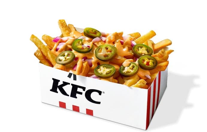 Tandoori Fries