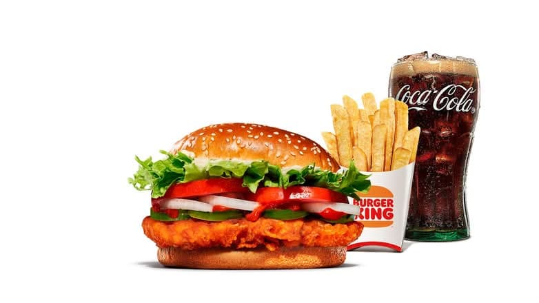 Kebab Style Chicken Meal