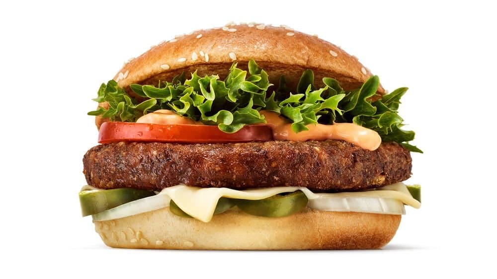 Mung Bean Burger