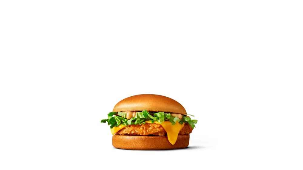 Tasty Chicken Burger